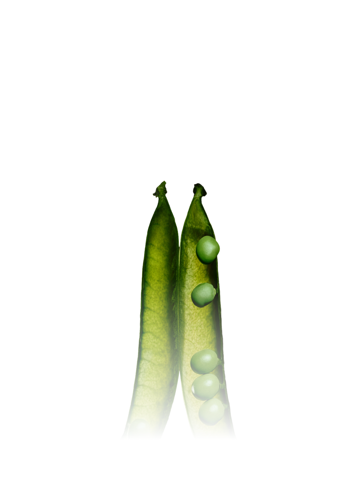 Hold gains, harvest losses